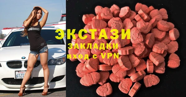индика Каменногорск