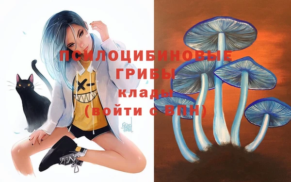 дживик Алексеевка