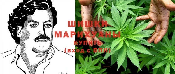 сатива Вязьма
