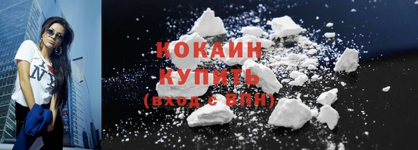 индика Каменногорск