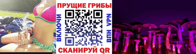 Псилоцибиновые грибы GOLDEN TEACHER  блэк спрут вход  Черепаново 